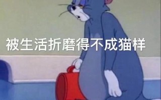 和小姐妹的沙雕合照文案，和小姐妹的沙雕合照文案怎么写