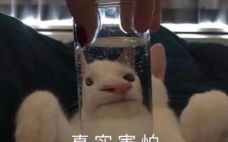 搞笑男人沙雕文案，搞笑男人沙雕文案短句