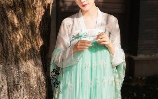 汉服工字褶裙穿搭，汉服工字褶裙穿搭图片大全
